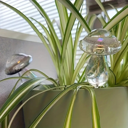 Glass Plant Round Watering Ball Waterer Smooth Round Household Glass Round