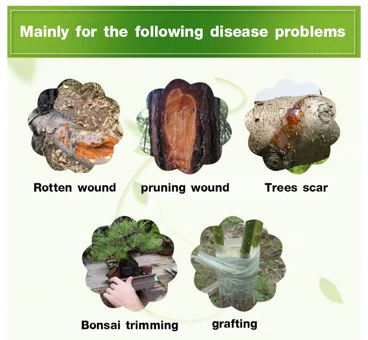 Rooting applicator for large tree wounds