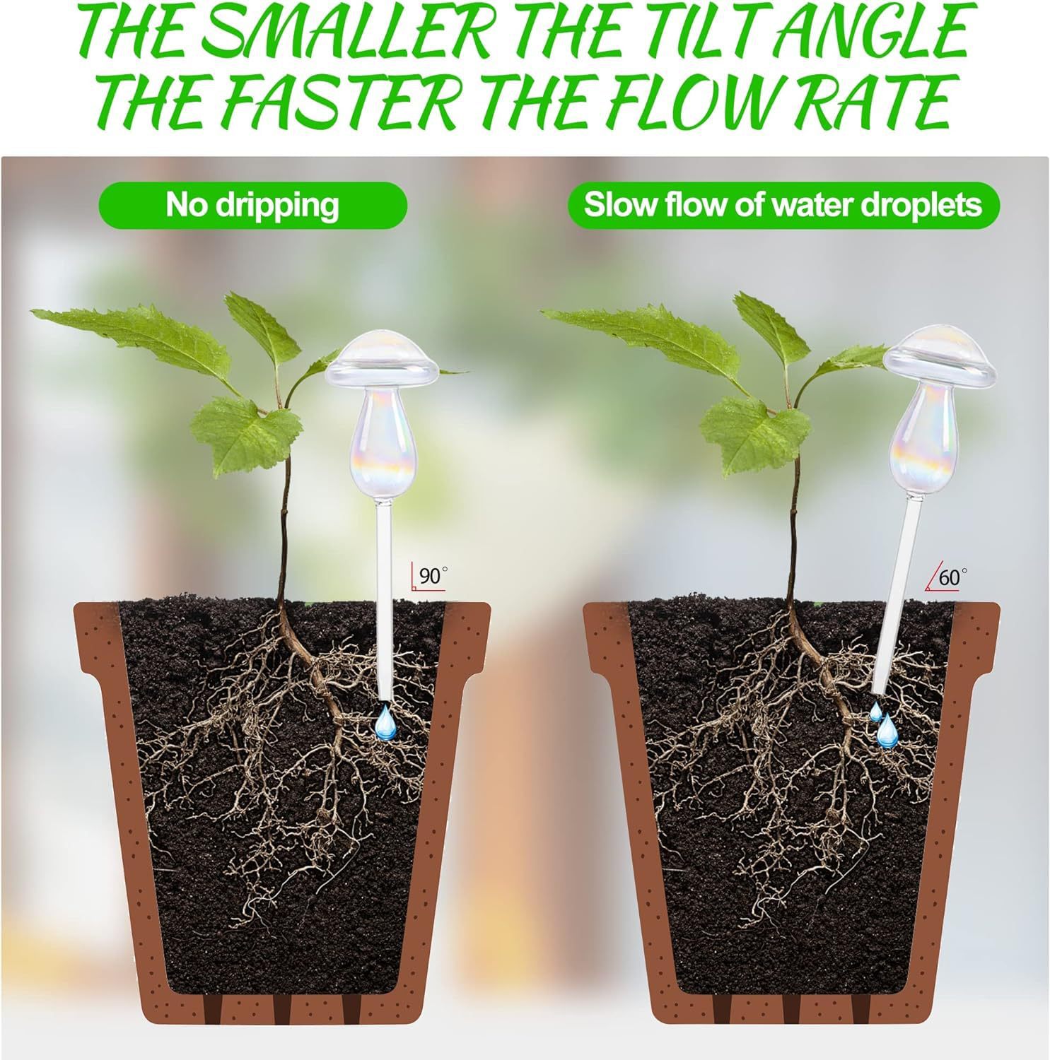 Easy-to-use round glass plant waterer