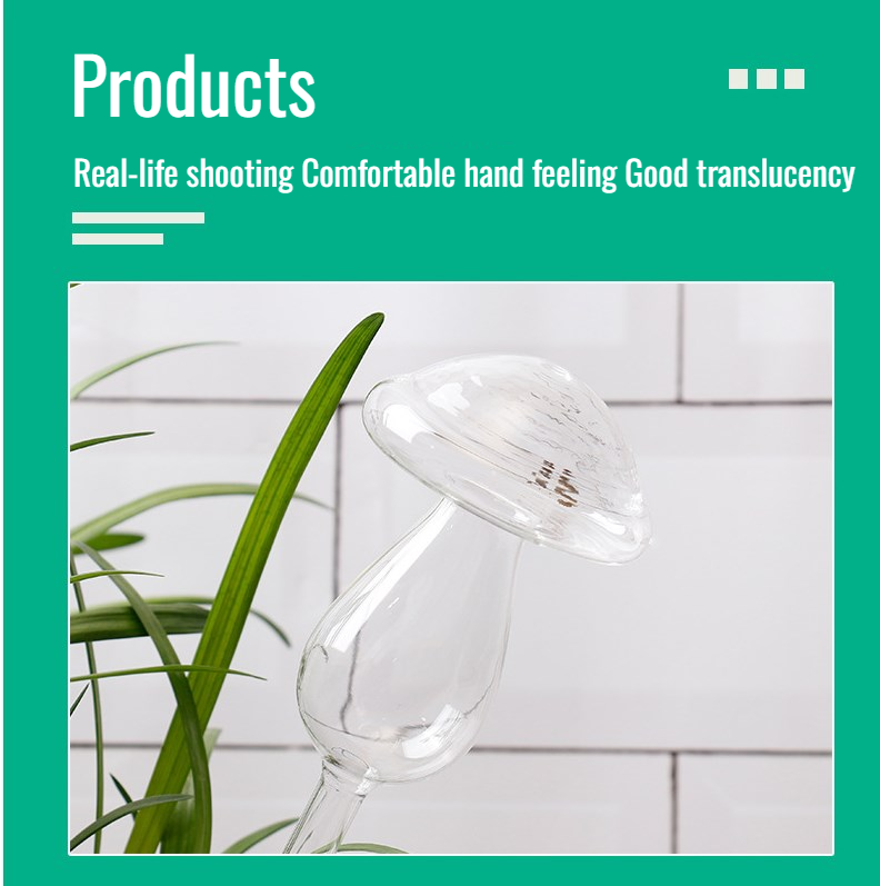 Consistent watering solution for indoor plants