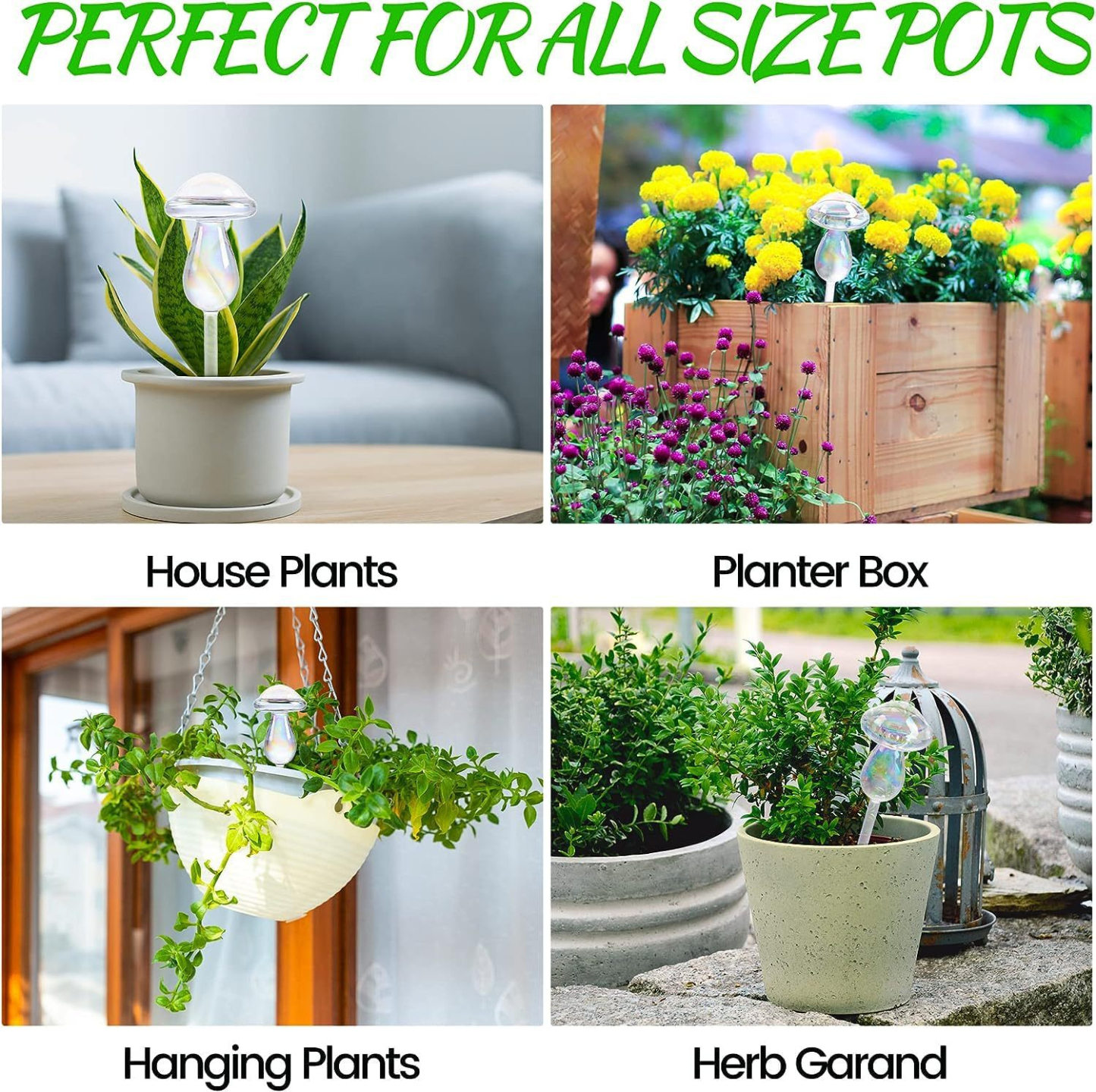 Glass Plant Round Watering Ball Waterer Smooth Round Household Glass Round