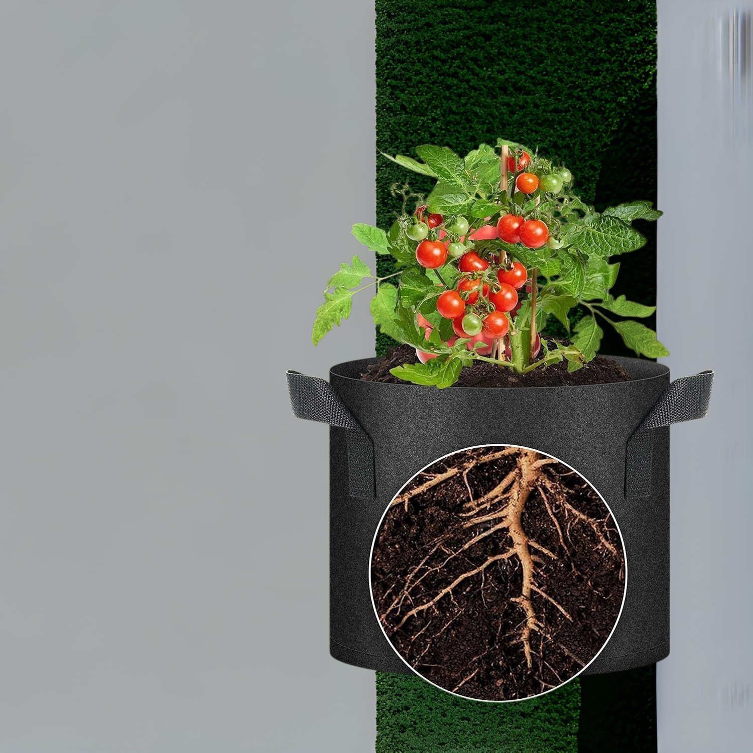 Black Plant Grow Bags Nonwoven Large Caliber Growing Bags Fruit and Vegetable Growing Bags