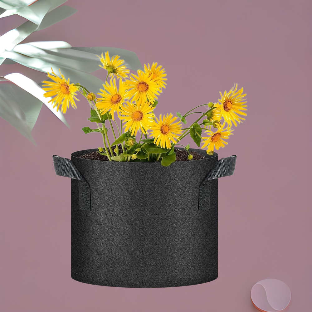 Black Plant Grow Bags Nonwoven Large Caliber Growing Bags Fruit and Vegetable Growing Bags