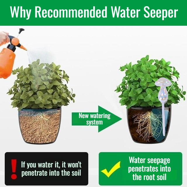 Self-watering globe for indoor plant care