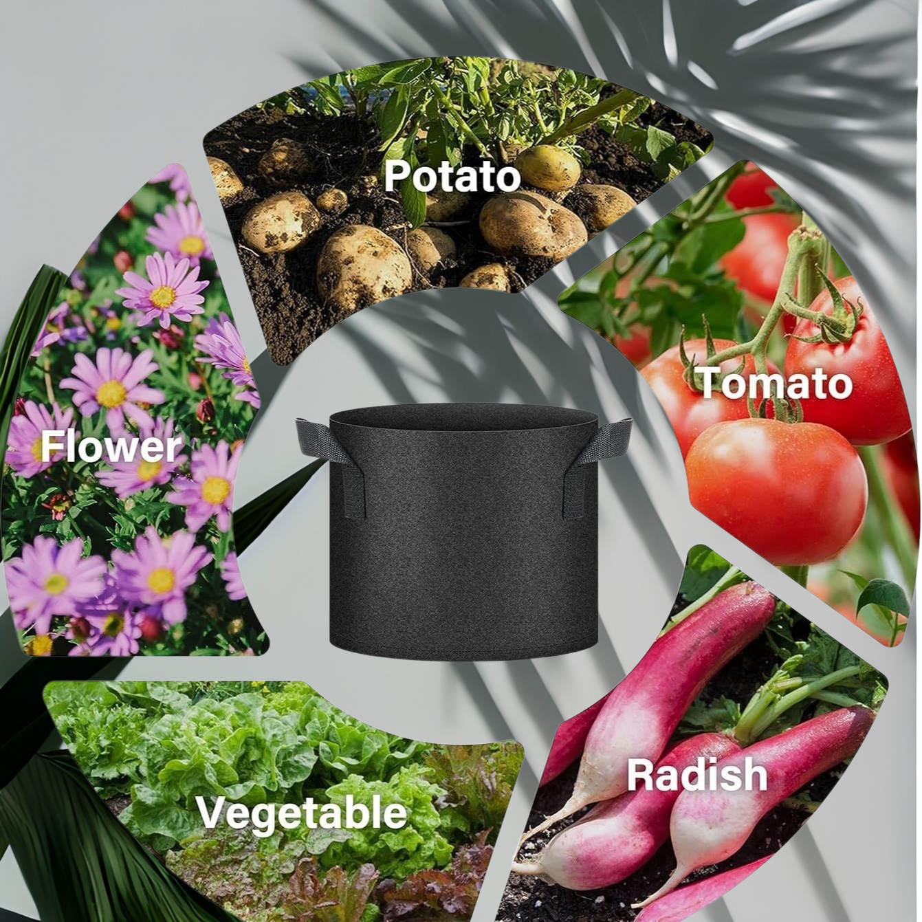 Black Plant Grow Bags Nonwoven Large Caliber Growing Bags Fruit and Vegetable Growing Bags