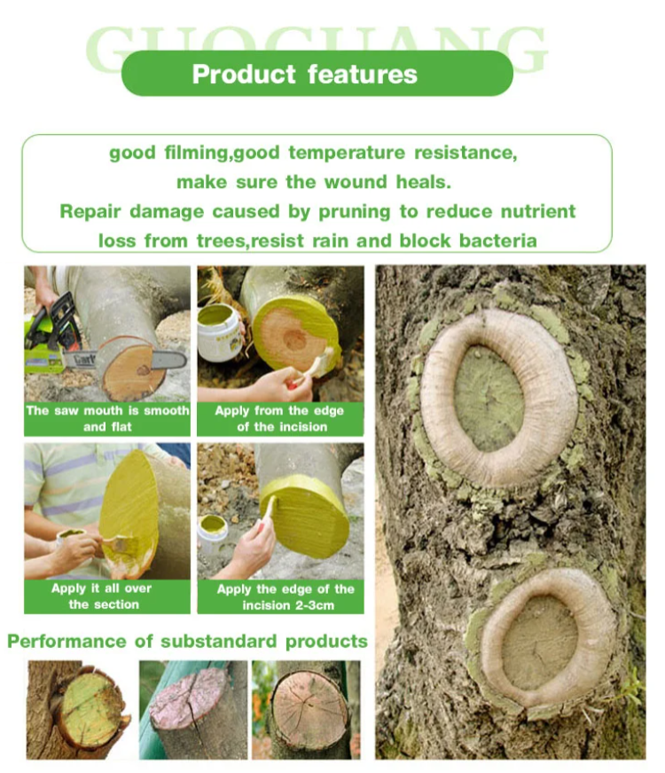 Fruit tree healing ointment being applied to tree bark