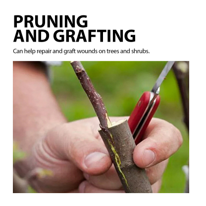 Large Tree Wound Healer Seedling Rooting Plant Applicator Fruit Tree Tree Healing Ointment