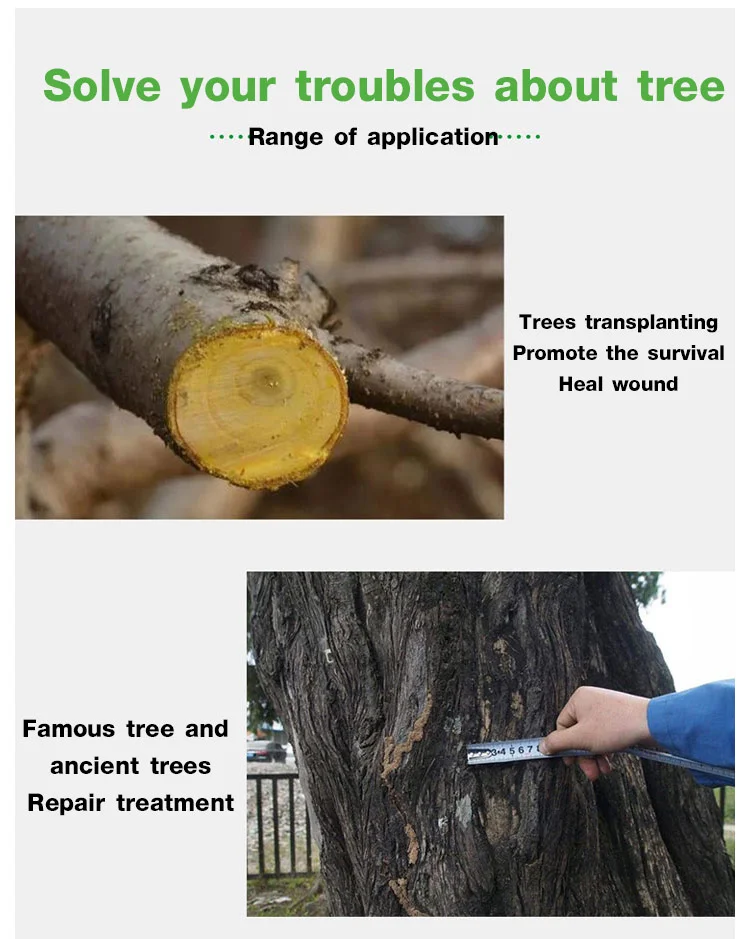 Seedling rooting plant wound care product