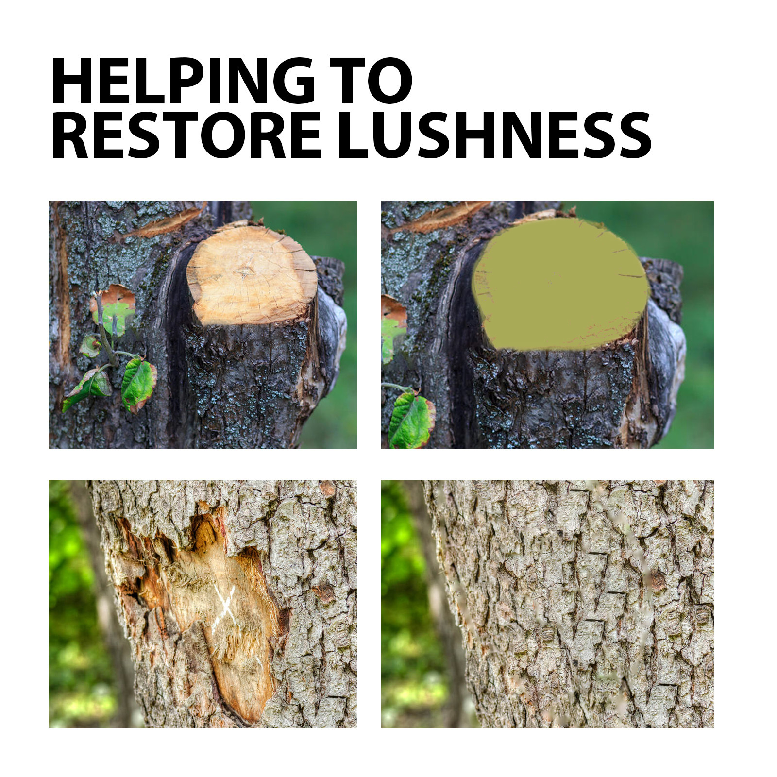 Large Tree Wound Healer Seedling Rooting Plant Applicator Fruit Tree Tree Healing Ointment