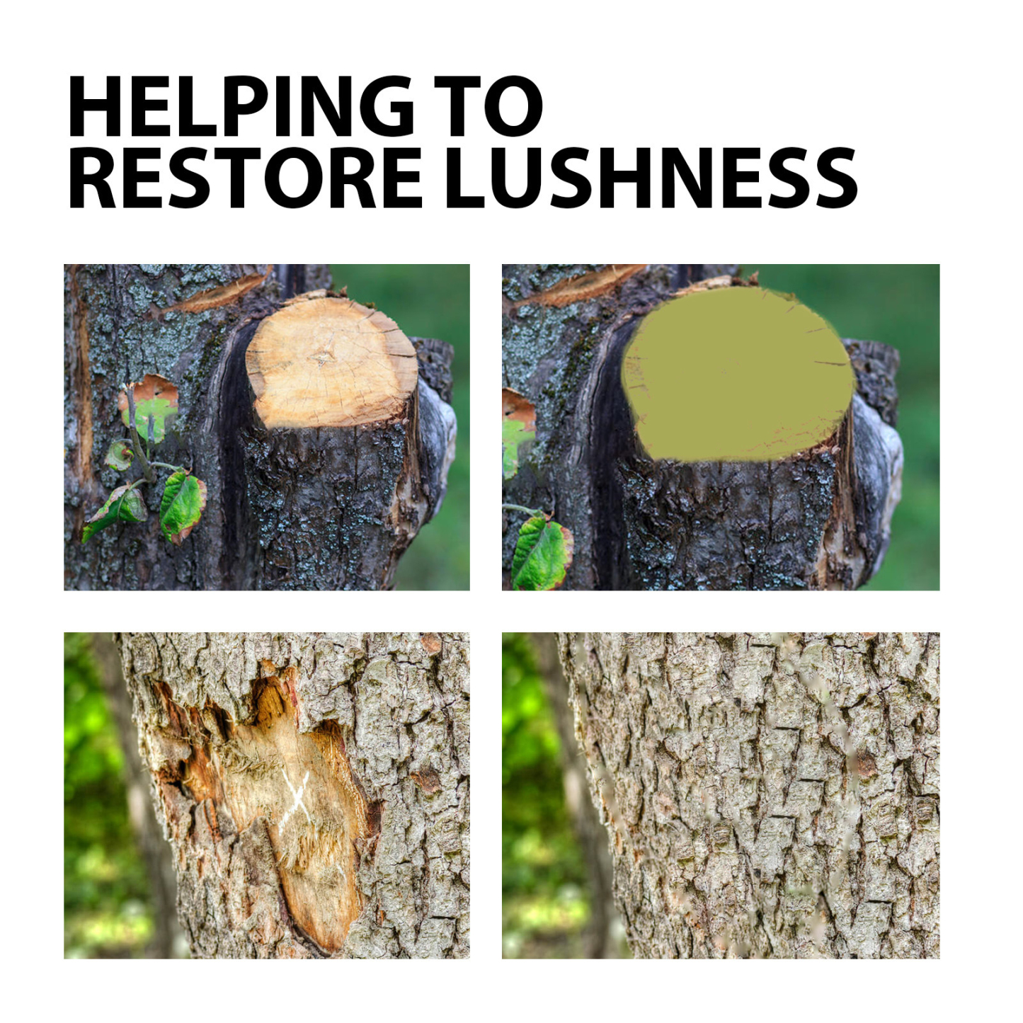 Large Tree Wound Healer Seedling Rooting Plant Applicator Fruit Tree Tree Healing Ointment