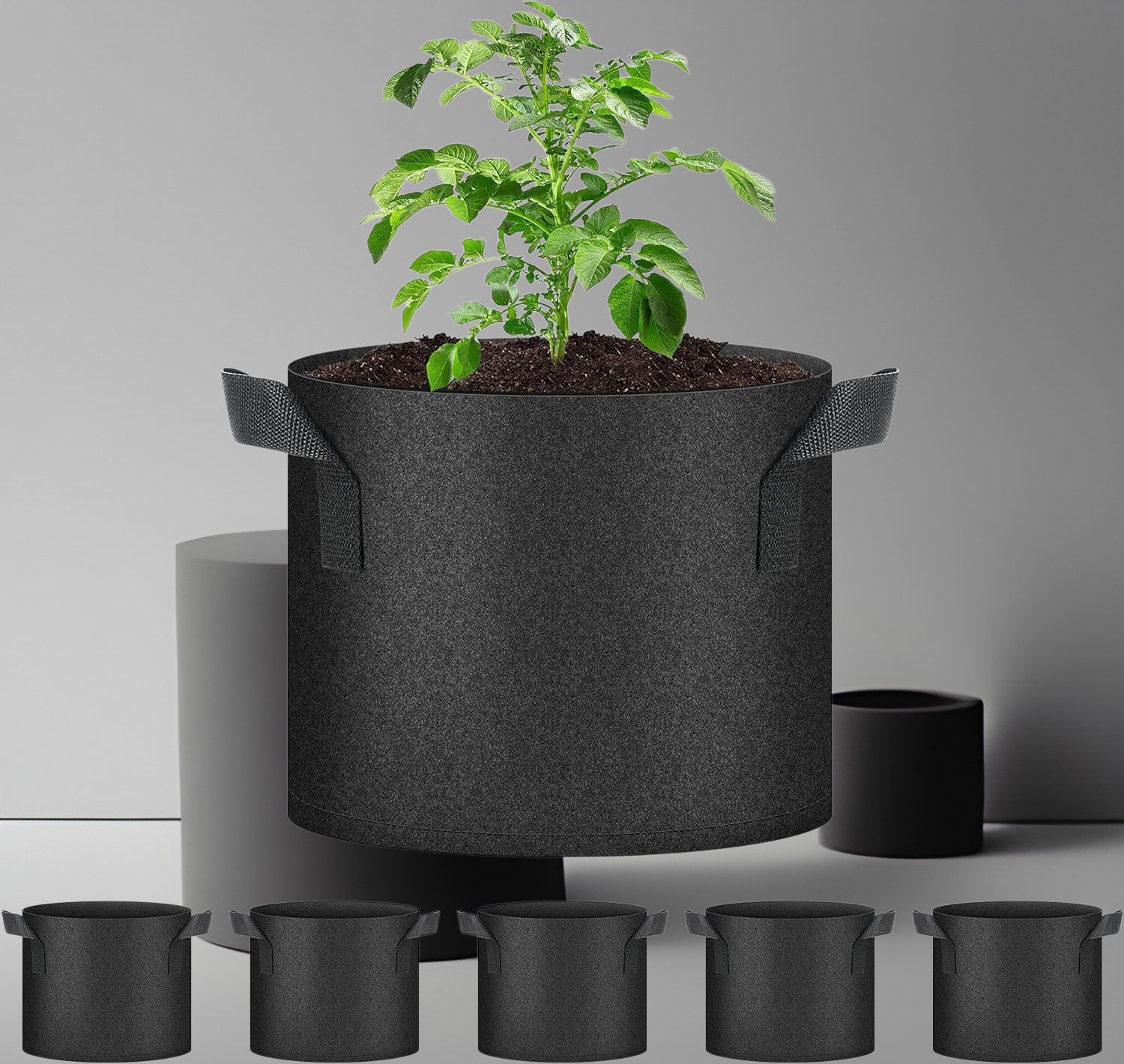 Black nonwoven plant grow bags for vegetables and fruits