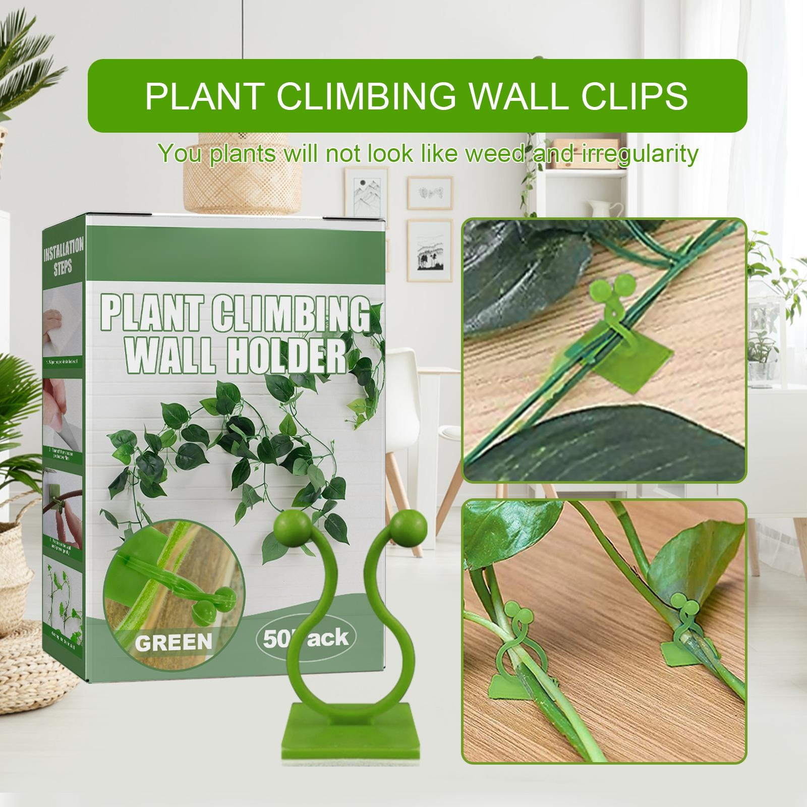 Self-adhesive plant climbing wall fixture for vines