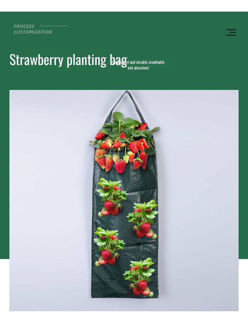 Wall-mounted black strawberry planting bag on balcony