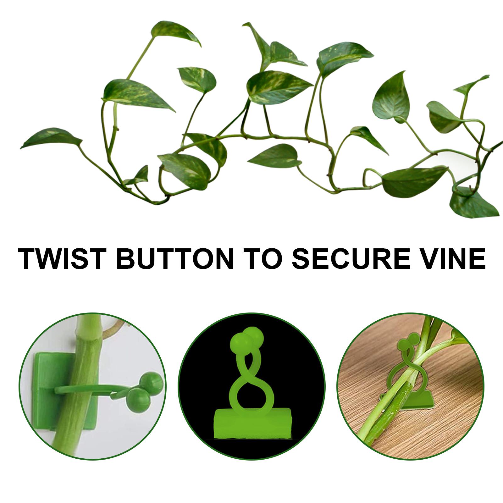 Strong adhesive plant holder for wall