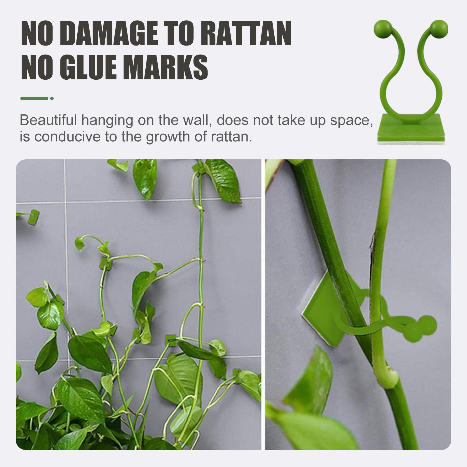 Easy installation plant wall support clip