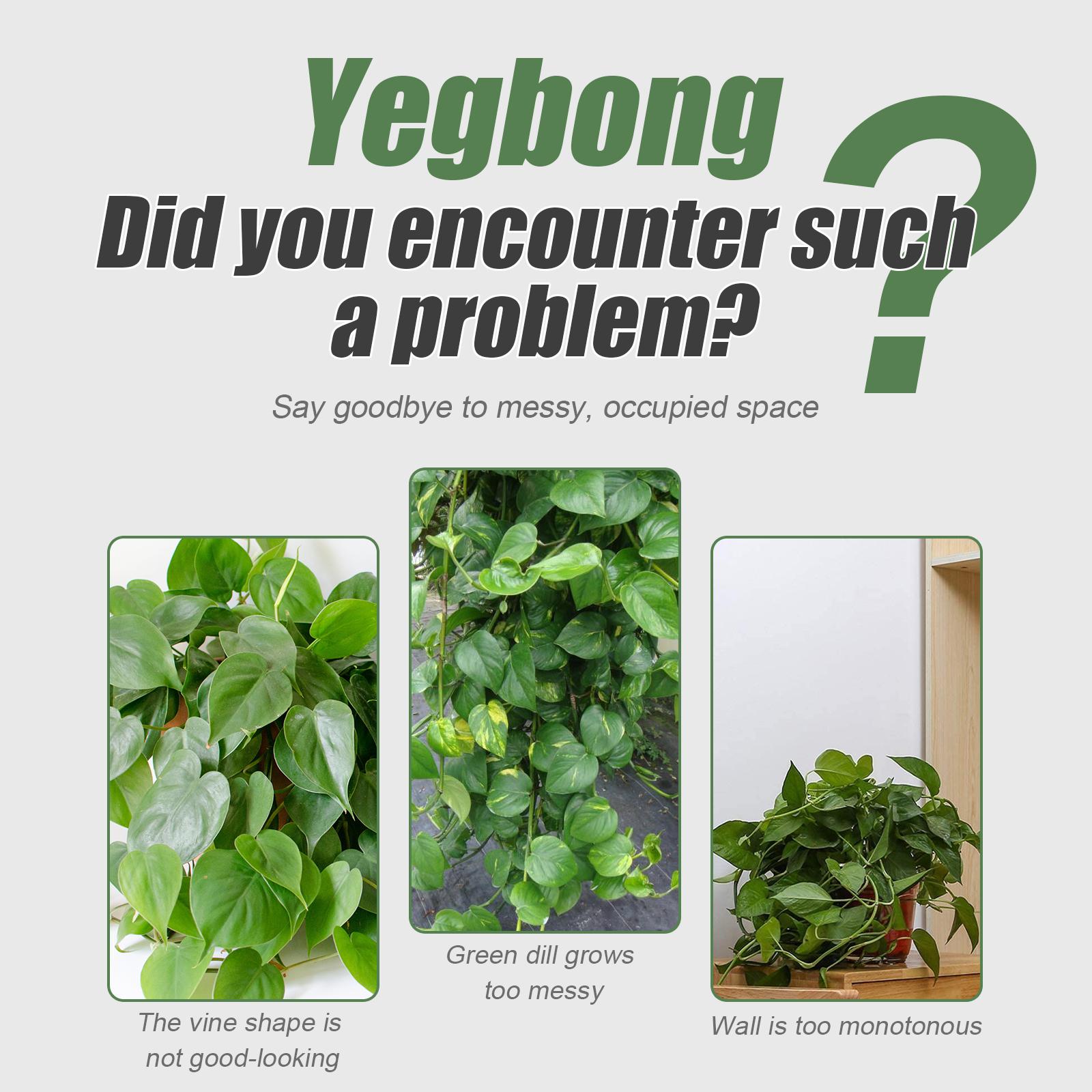 Vine plant wall climbing support solution