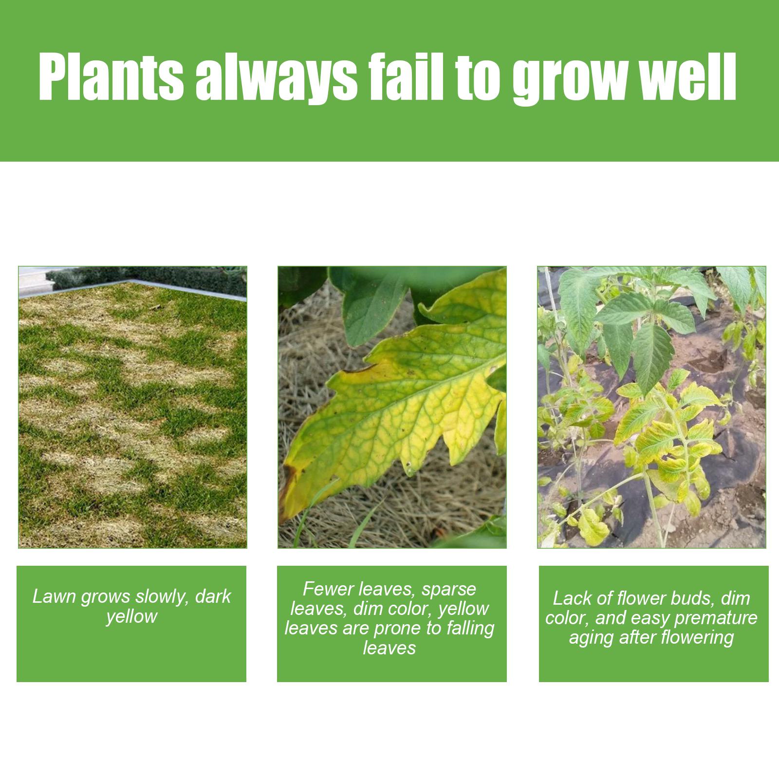 All-purpose fertilizer for indoor and outdoor plants