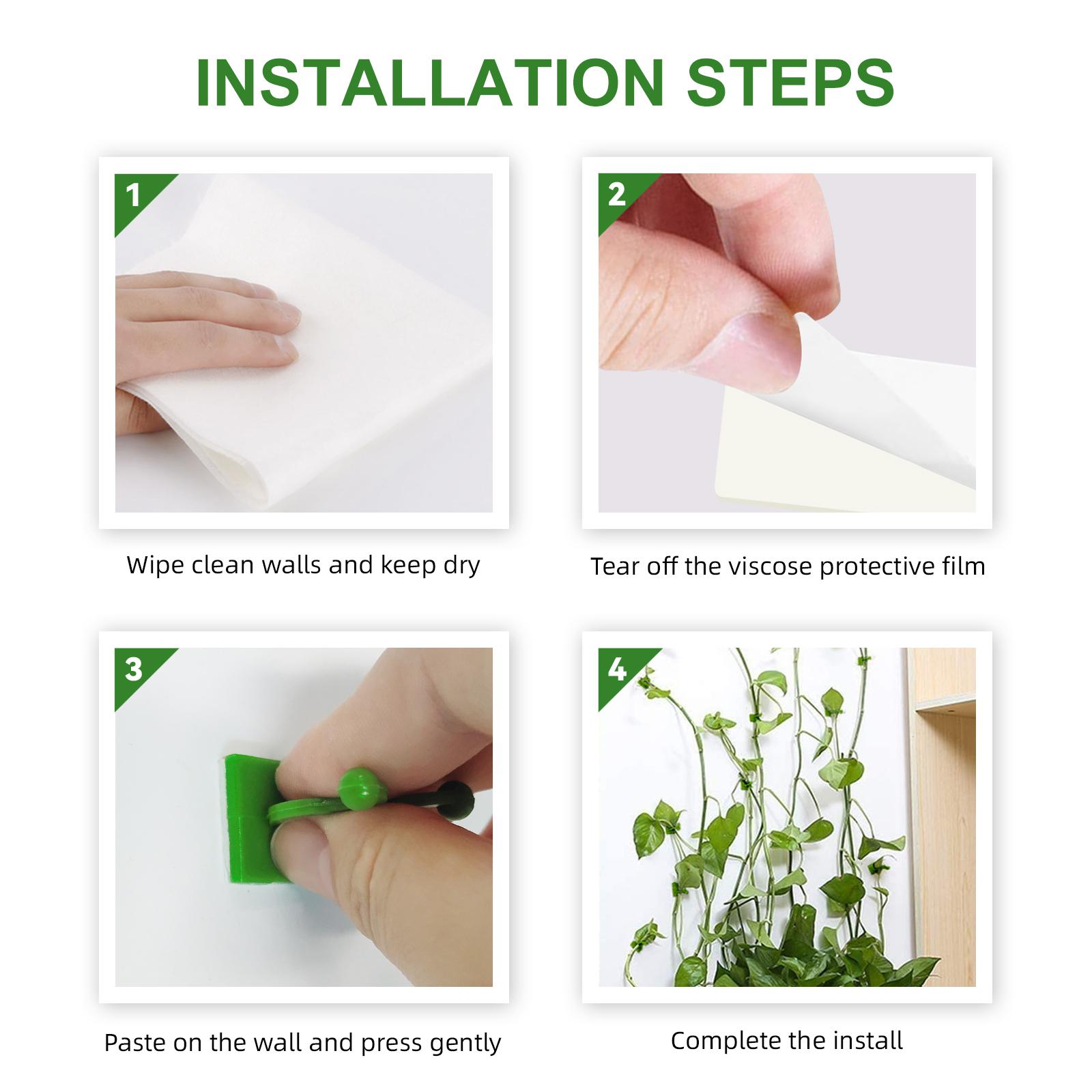 Household wall-mounted vine plant holder