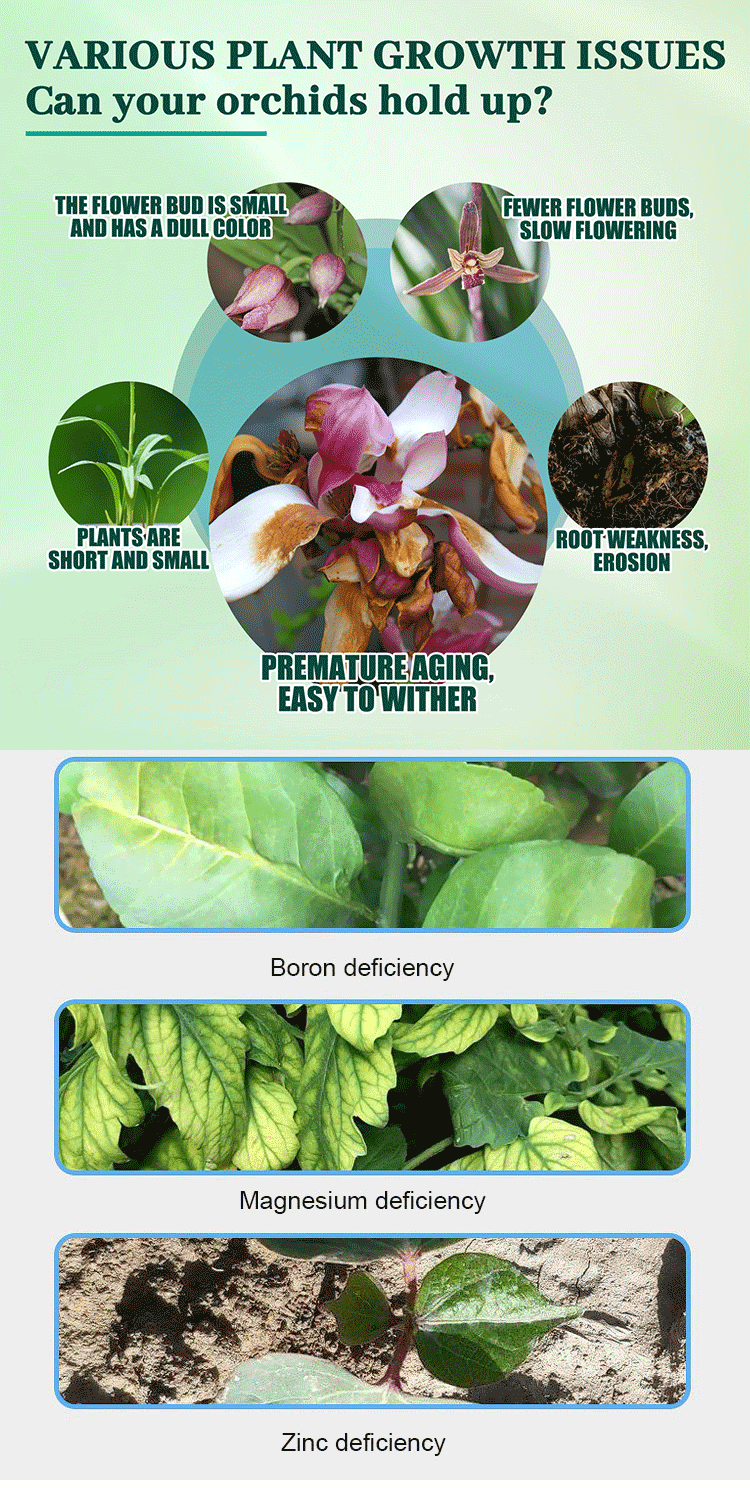 Nutrient solution for vegetables and flowers