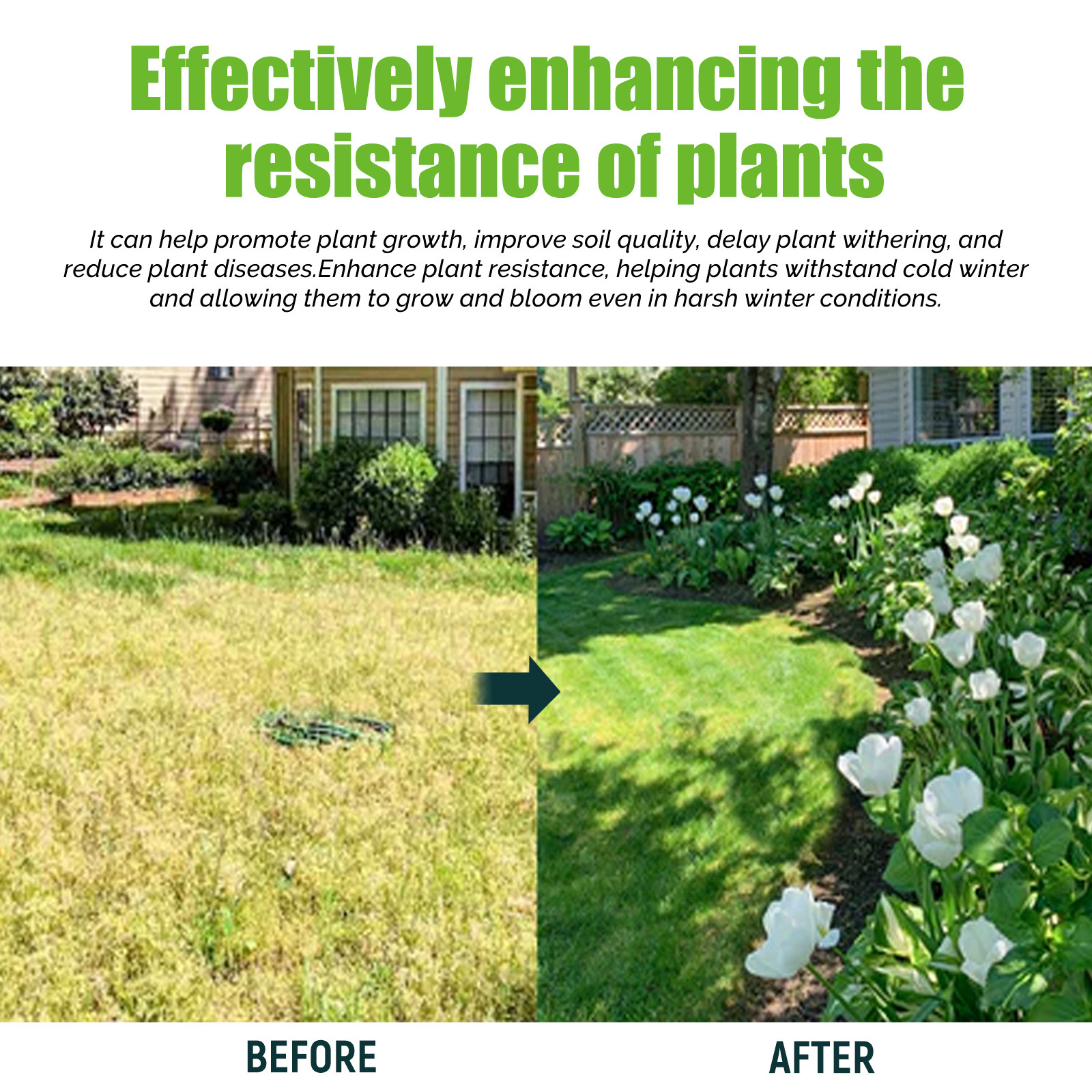 Before and after results of using nutrient solution