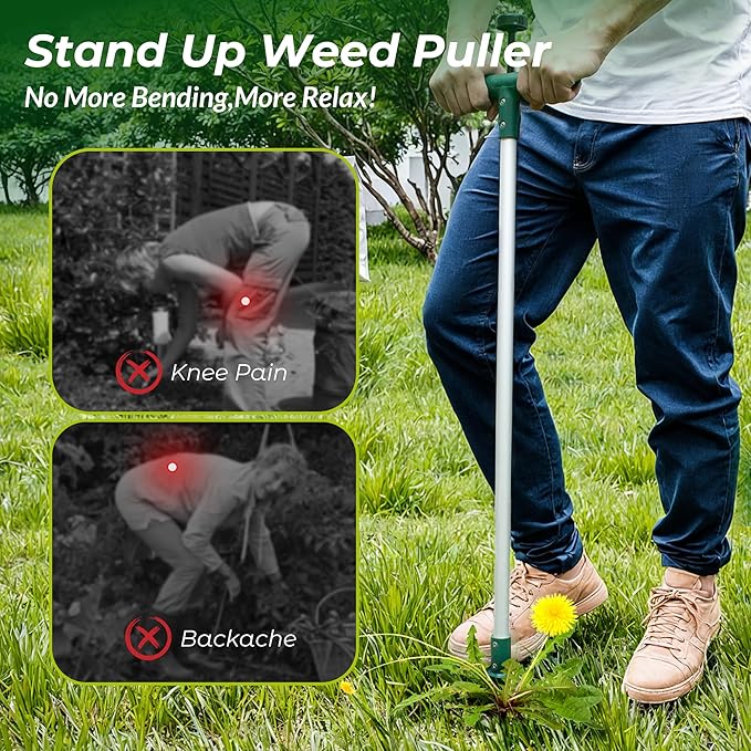 Weed Puller, Stand Up Weeder Hand Tool, Long Handle Garden Weeding Tool with 3 Claws, Hand Weed Hound Weed Puller for Dandelion, Standup Weed Root Pulling Tool and Picker, Grabber (1 Pack)