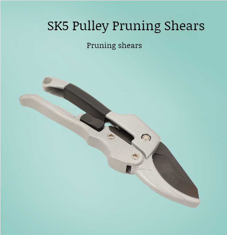 Garden Roughing Shears for precise fruit pruning
