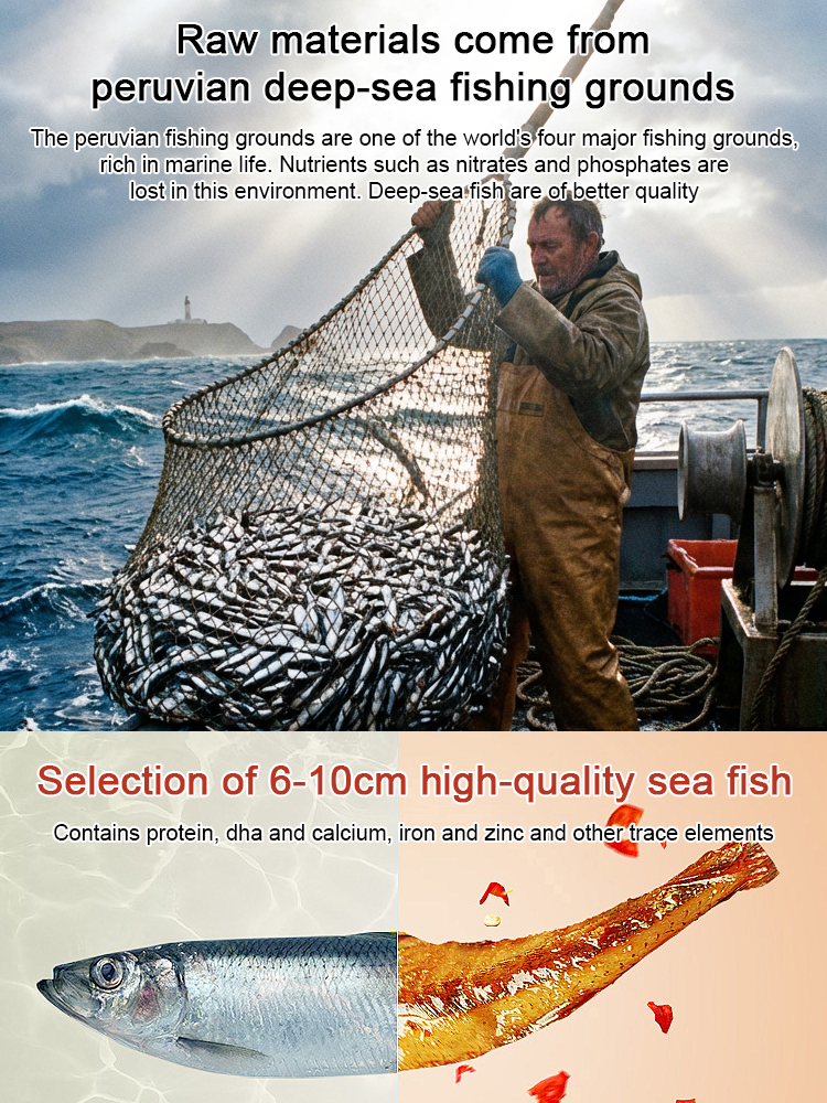 【Value Pack】Ready-to-Eat Honey-Spicy Dried Fish ✨ Non-Fried, Low-Calorie