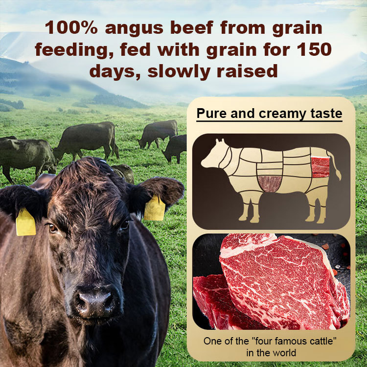 【Buy One Get One Free】Ready-to-Eat Crispy Savory Beef Jerky ❤ No Additives, Low-Calorie