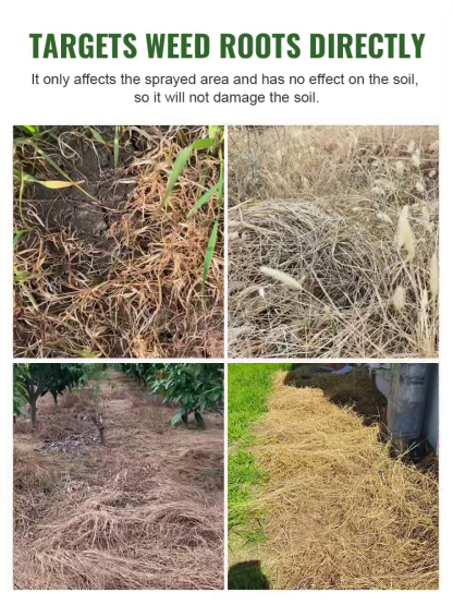Glufosinate Orchard Herbicide【99% weed control rate】