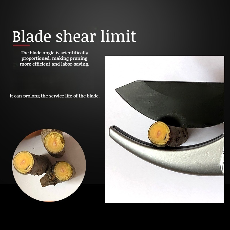 Garden Roughing Shears Fruit Pruning Shears Flowering Branch Pulley Garden Pruning Shears