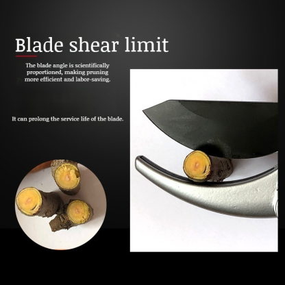 Garden Roughing Shears Fruit Pruning Shears Flowering Branch Pulley Garden Pruning Shears