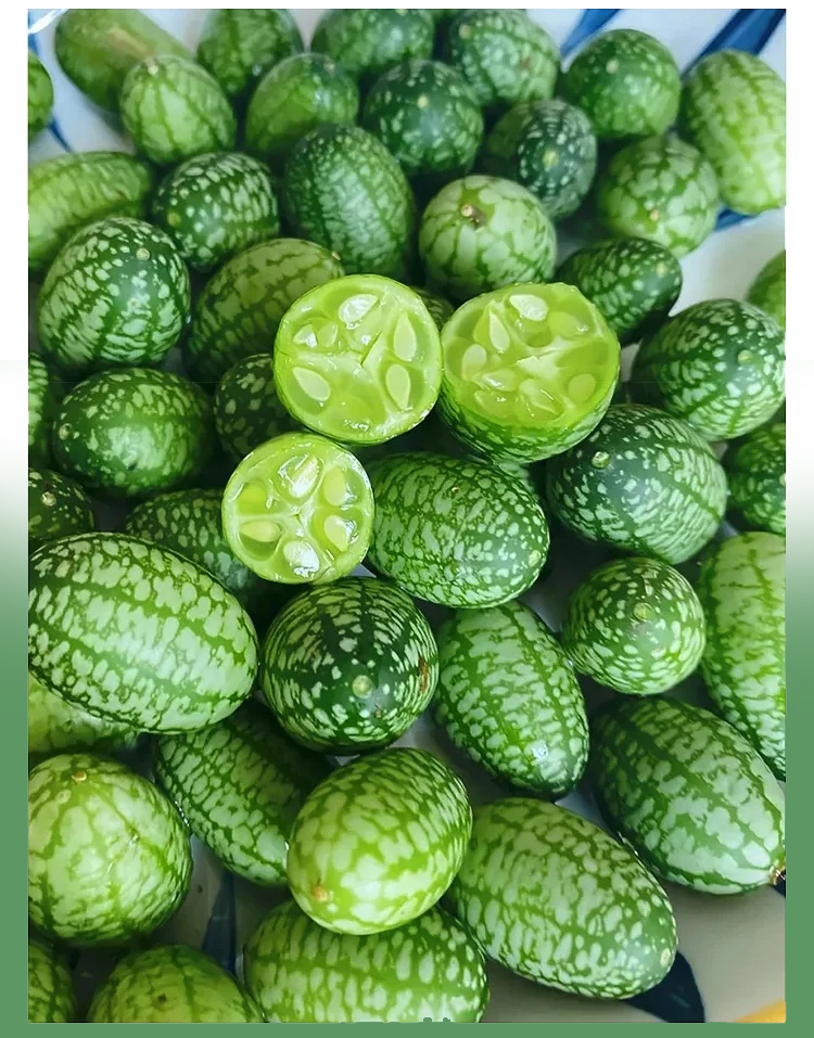 Wassermelonensamen
