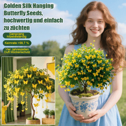 【Blüte, die nie verwelkt】Goldfaden hängender Schmetterlingssamen