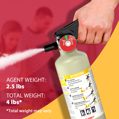 Ougist 2.5 lb ABC Dry Powder Fire Extinguisher – 1A:10B:C Rated | Portable Grey Fire Extinguisher for Home, Kitchen & Car | Easy-Grip Handle & Quick Release | Model FF1KG