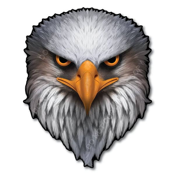 🔥Last Day 49% OFF - 🦅Reflective Eagle Eyes USA Flag Decal – Waterproof Patriotic Vinyl Sticker for Trucks, Cars & Gear - USA Flag / 5 x 4