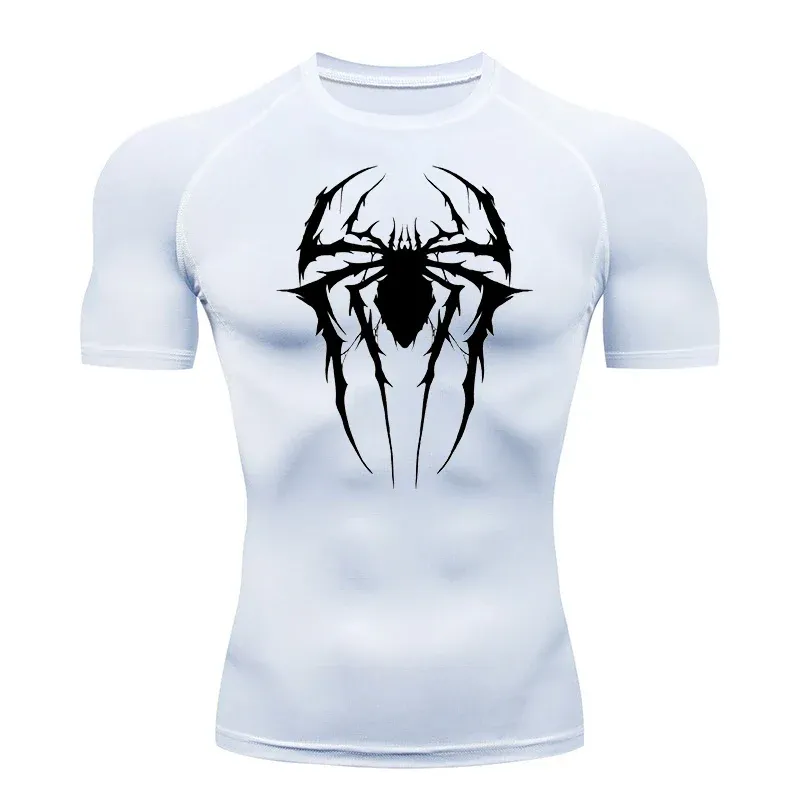 Poisonous - Spider