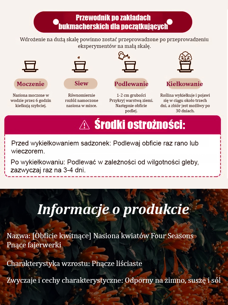 【Kwitnienie pełne】Nasiona kwiatów trąbkowych na każdą porę roku