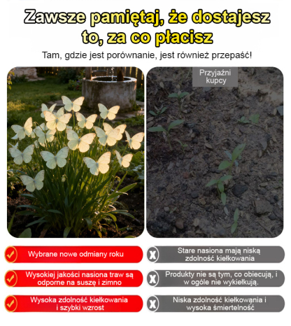 Nasiona kwiatów Moonlight Butterfly