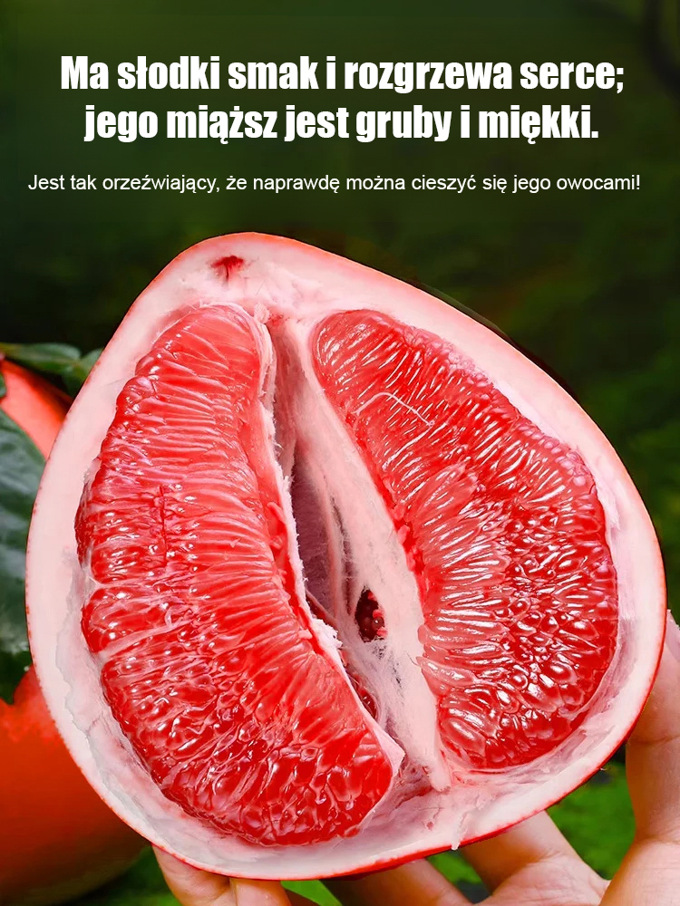 【Odmładzająca i obniżająca ciśnienie】Tajska perfuma Siam z czerwonym grejpfrutem