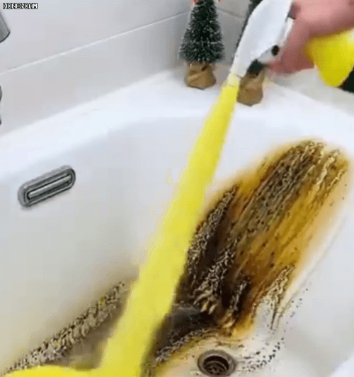 Honeycam 2026-01-22 10-28-23.gif