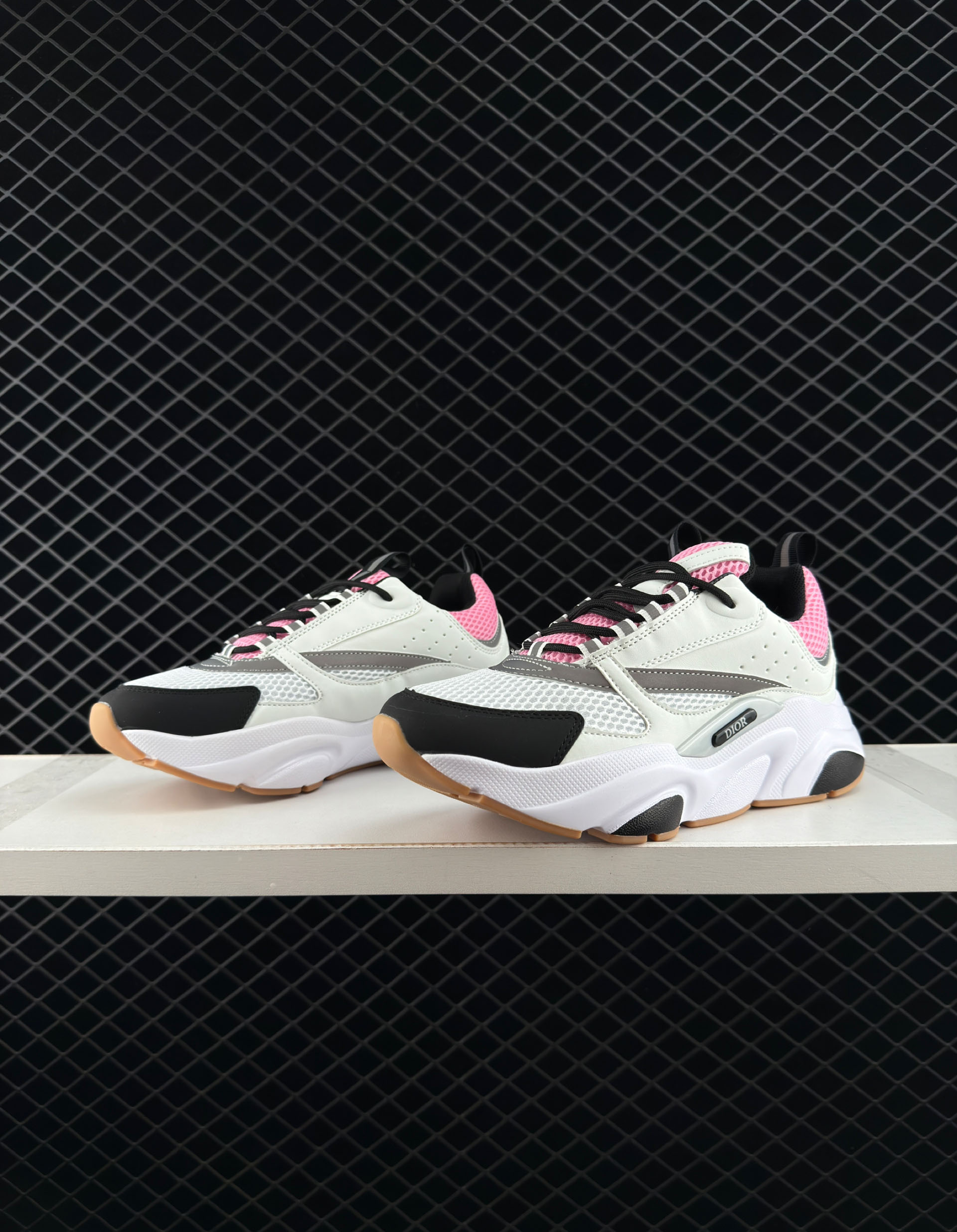 Dior Dad Shoes