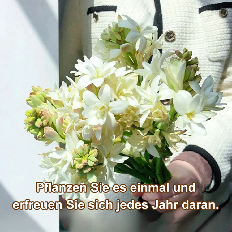 【Die ursprünglichen Inhaltsstoffe der Parfums von Gucci und Chanel】Tuberose-Zwiebelblume