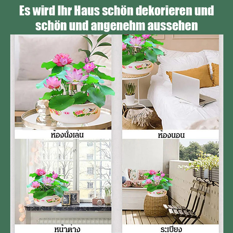 【Glücksbringer】Dekorative Wasserkulturlotus.