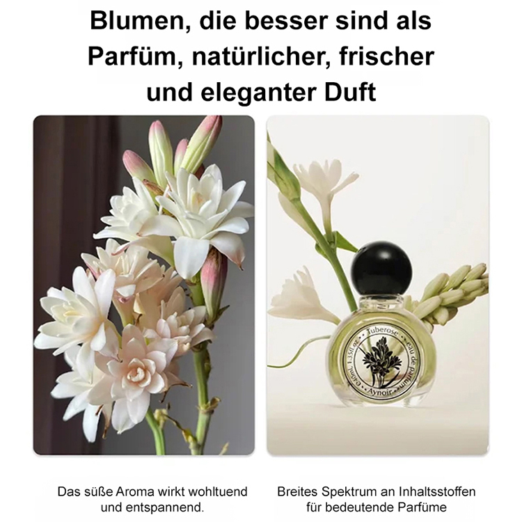 【Die ursprünglichen Inhaltsstoffe der Parfums von Gucci und Chanel】Tuberose-Zwiebelblume