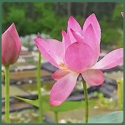 566640cb2280015fd51e7cdca38dba99.gif
