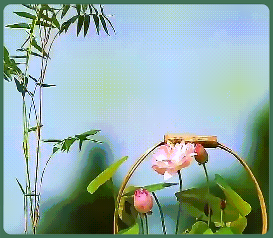 568e6a01da9d8453388c8e35068db5db.gif