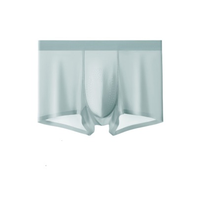 🌿Forest Oxygen Ice Silk Men’s Underwear