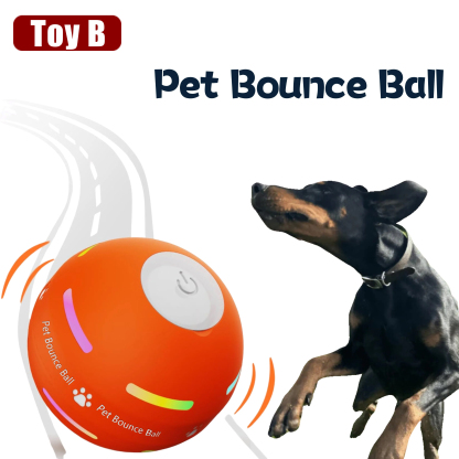 Three Pet Toys to Meet Your Pet's Needs-50% Off Today