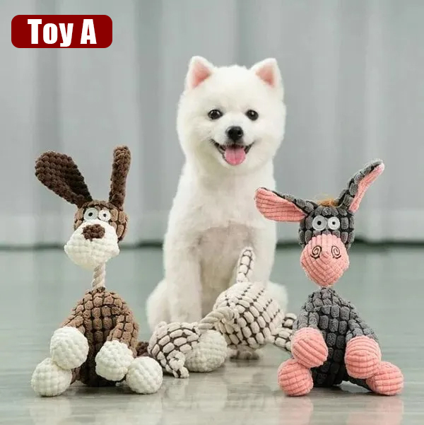 Three Pet Toys to Meet Your Pet's Needs-50% Off Today