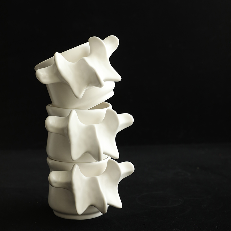 Spine Ceramic Mug & Vase Set